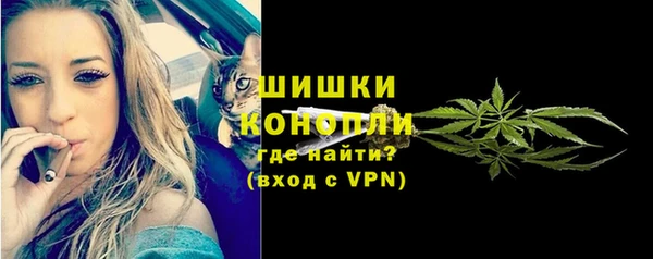 шишки Беломорск