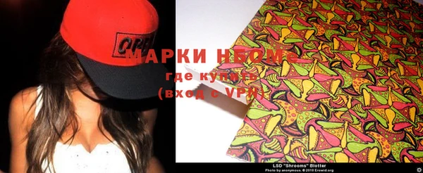 шишки Беломорск