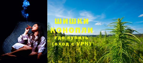 бошки Белокуриха