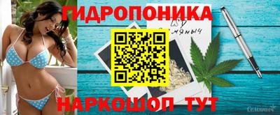 эйфоретик Гусиноозёрск