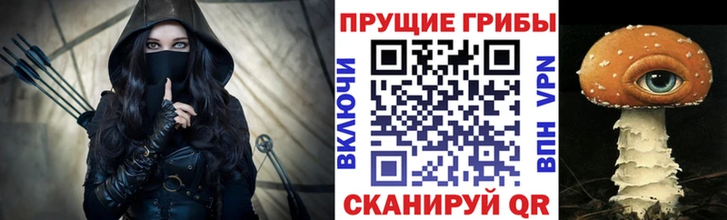 где продают наркотики  Ногинск  Галлюциногенные грибы мухоморы 