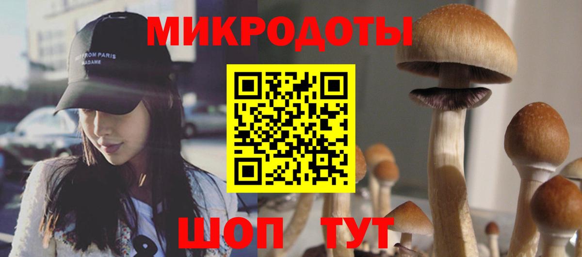 Ногинск  Псилоцибиновые грибы ЛСД  Вход с VPN 